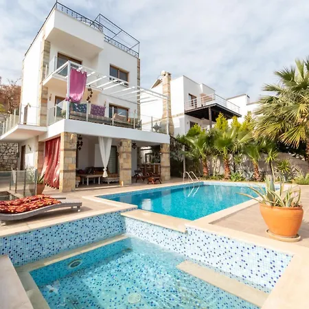 Vila Sea View And Private Pool Selen Bogazici