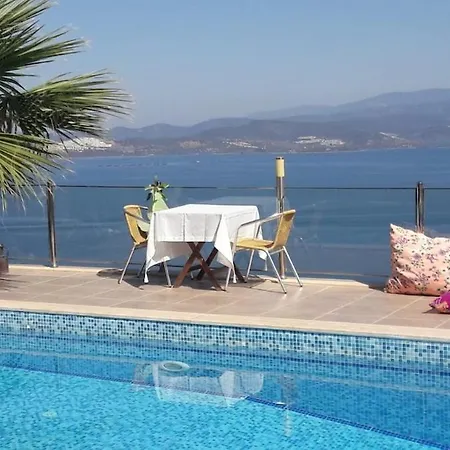 Vila Sea View And Private Pool Selen *